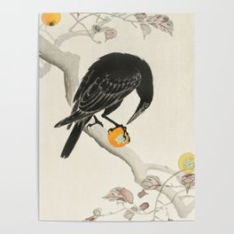 Crow eating persimmon Fruit - Vintage Japanese Woodblock Print Art Poster