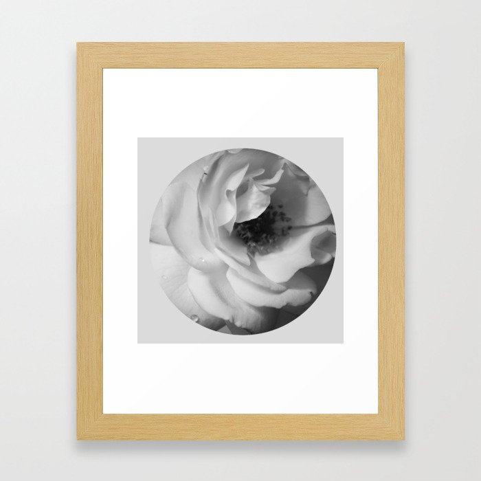 Rose Macro Framed Art Print