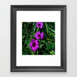 Purple Magic Framed Art Print