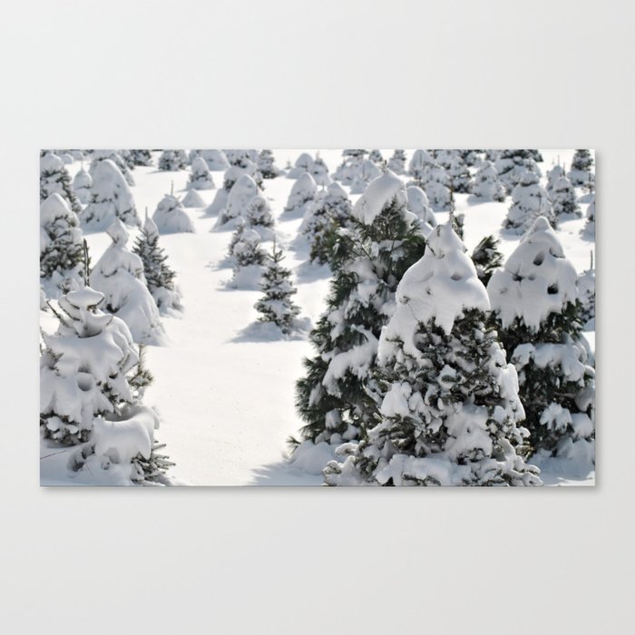 The Essence of Winter Canvas Print