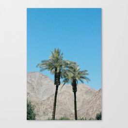 Palm Trees in Indio Canvas Print