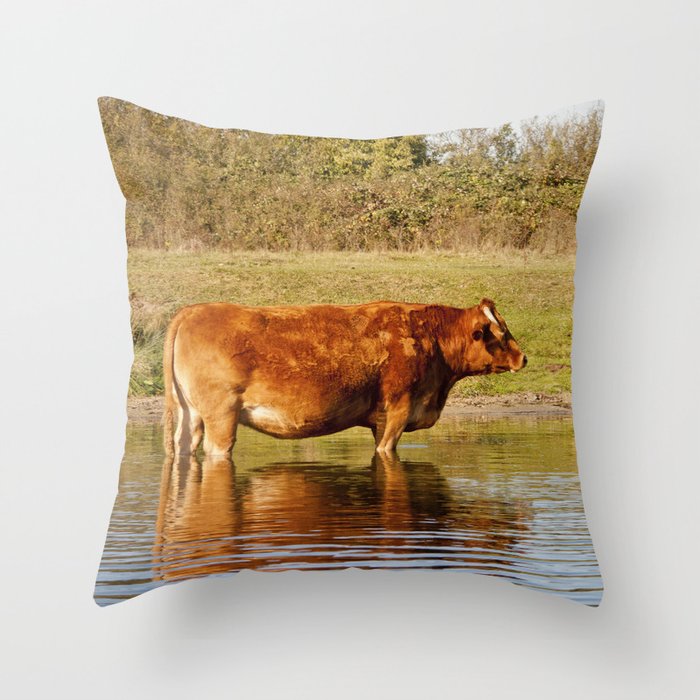 Society6 pillows cheap