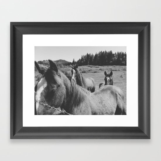 Horses Framed Art Print