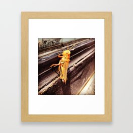 Society6