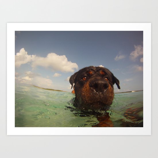 Oso swimming Art Print
