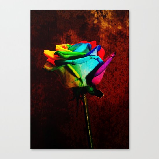 Rainbow rose 2 Canvas Print
