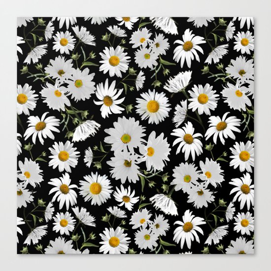 daisy garden Canvas Print