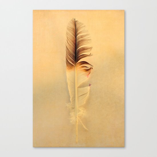 FEATHER Canvas Print