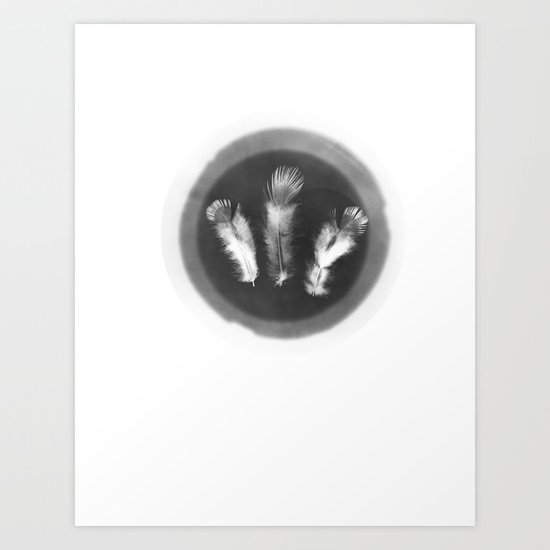 Feathers Art Print
