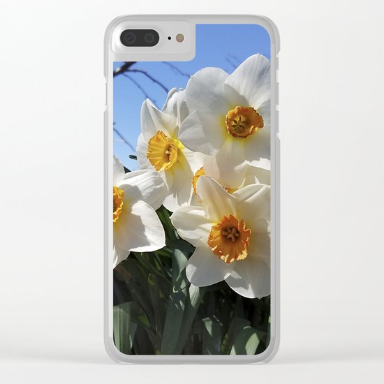 Sunny Faces of Spring - Gold and White Narcissus Flowers Clear iPhone Case