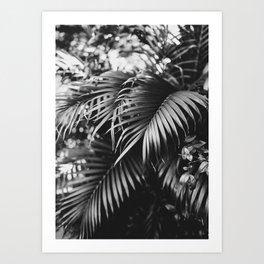 Moody Palms Art Print | Garden, Hawaii, Shade, Forest, Lines, Travel, Tropical, Photo, Palms, Black 