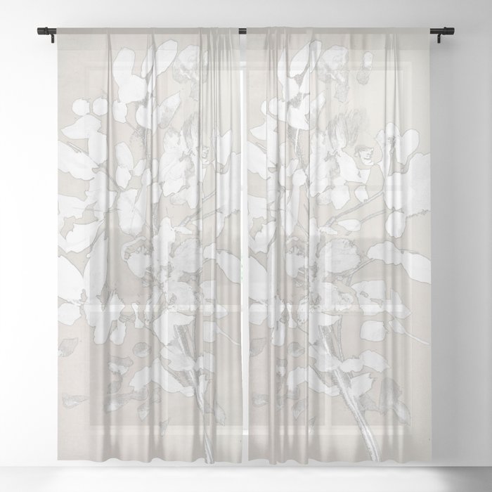 Sheer Curtain