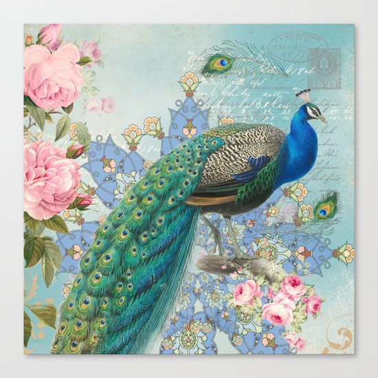 Peacock & Pink Roses #2 Canvas Print