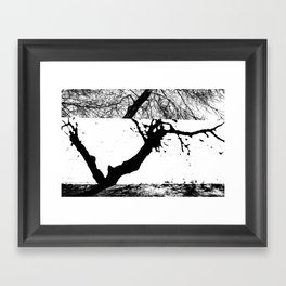 Tree shadows Framed Art Print