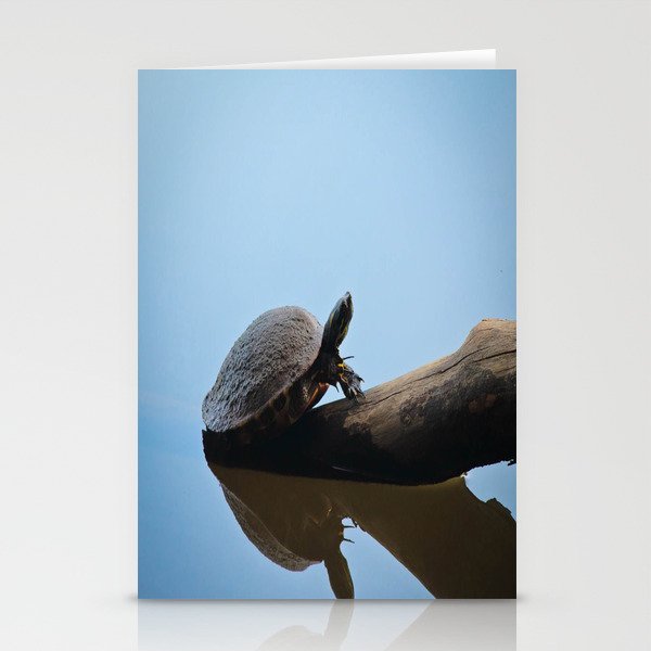 Turtle on The Lake (Color) Stationery Cards