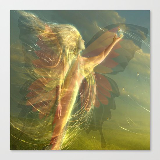 buterfly Canvas Print