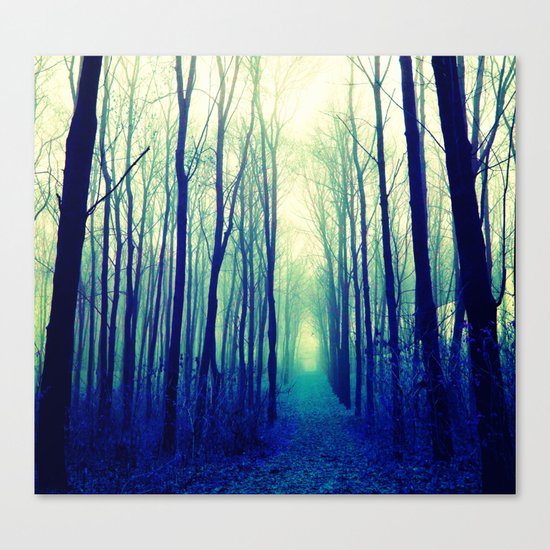Mystery Forest Canvas Print