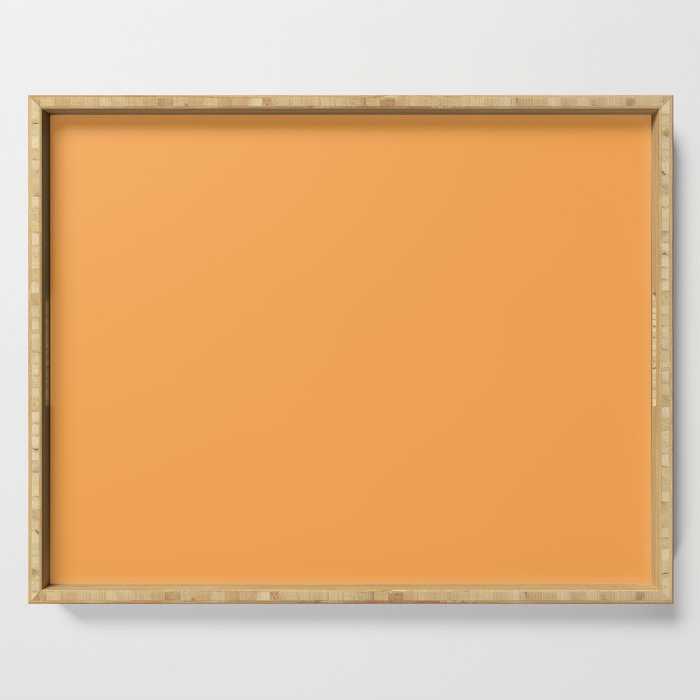 Mid-tone Orange Solid Color Pairs Pantone Blazing Orange 15-1160 TCX - Shades of Orange Hues Serving Tray