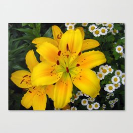 Smiling Golden Lily Canvas Print