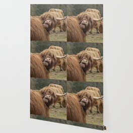 Highland Cow Wallpaper For Any Decor Style Society6