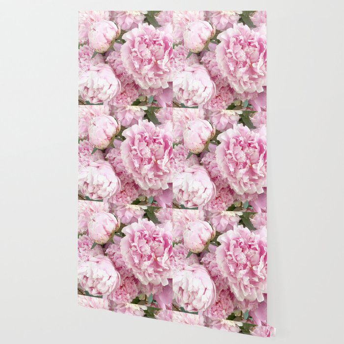 Pink Shabby Chic Peonies Garden Peony Flowers Wall Prints Home