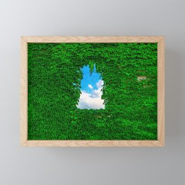Bird's Window Framed Mini Art Print
