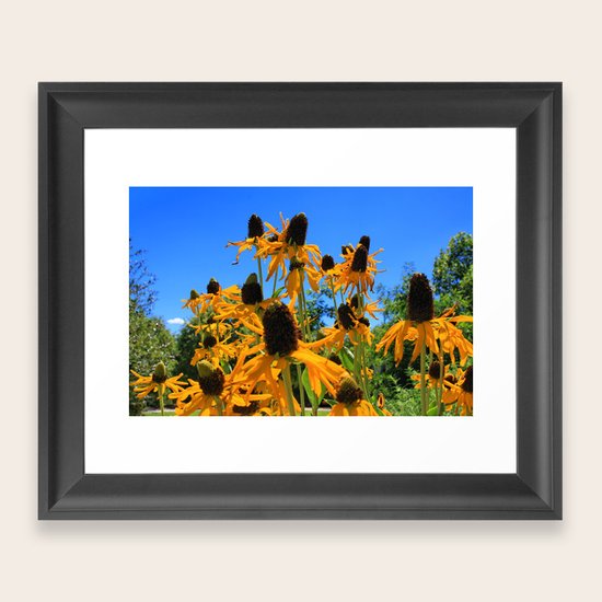 Yellow Flowers Framed Art Print