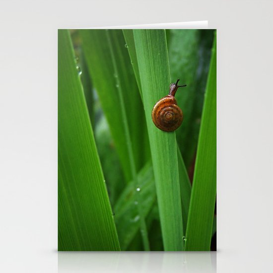 Daring Snail Stationery Cards