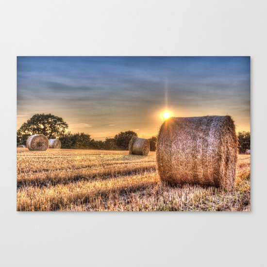 Summer Evening Farm Canvas Print