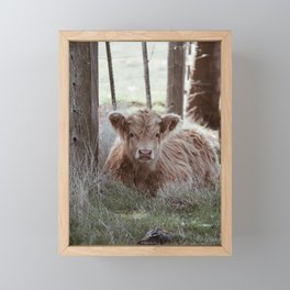 Highland Cow Calf Framed Mini Art Print