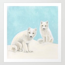 Arctic Foxes Art Print