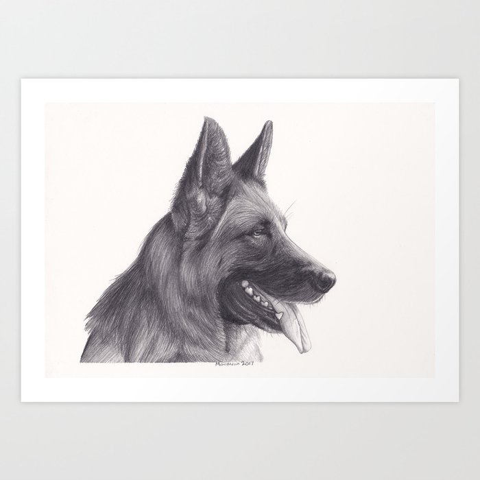 German Shepard Dog Wildlife Animal Graphite Pencil Drawing