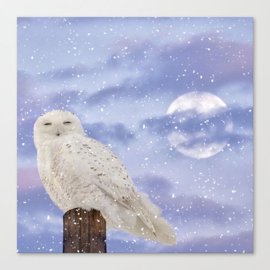 Winter Solstice Canvas Print