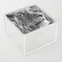 Modern black and white oil painting of king lion, artist collection of animal painting abstract. gray Acrylic Box