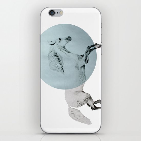 white horse iPhone & iPod Skin