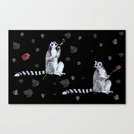 Lemurs Canvas Print