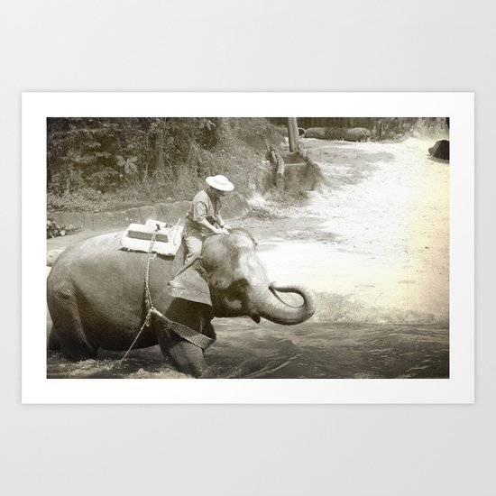 Elephant Fun Art Print