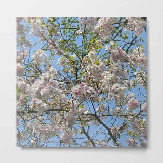 Spring day VI Metal Print