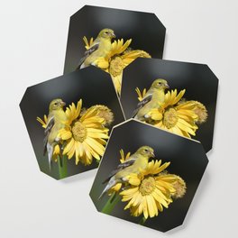 Female American Goldfinch perched on Yellow Gerbera Daisy Flowers Coaster