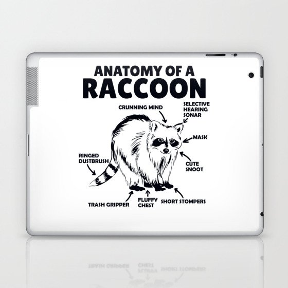Sweet Raccoon Explanation Anatomy Of A Raccoon Laptop & iPad Skin