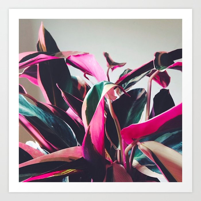 Plant Art Print