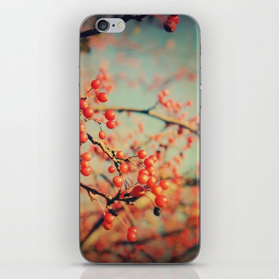 Remnants iPhone & iPod Skin