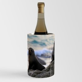 Seal Pair, Kaikoura New Zealand Wine Chiller
