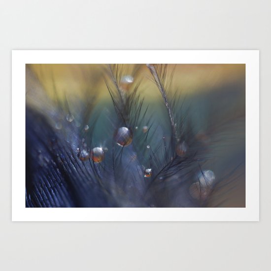 Taking Chances Art Print