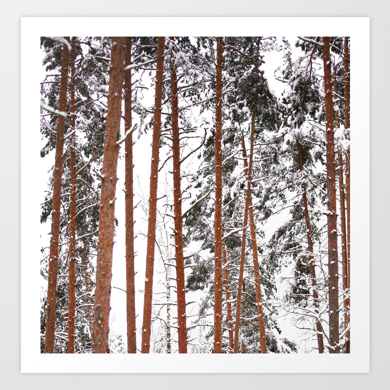 Tall Pine Trees Winter Scene Decor Society6 Buyart Art Print