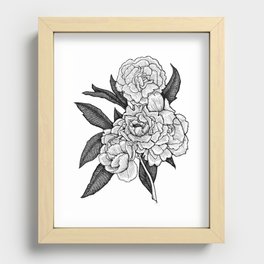 Peony Blooms Recessed Framed Print