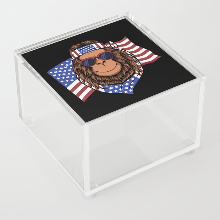 Cool Independence Day USA Funny Acrylic Box