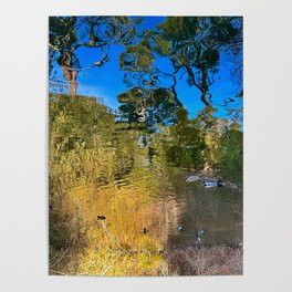 Pond Impressionism with trees and ducks  Poster