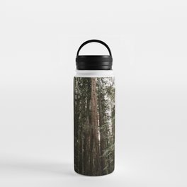 Redwood Forest Dreams Water Bottle