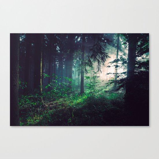 Wayward Wilderness Canvas Print